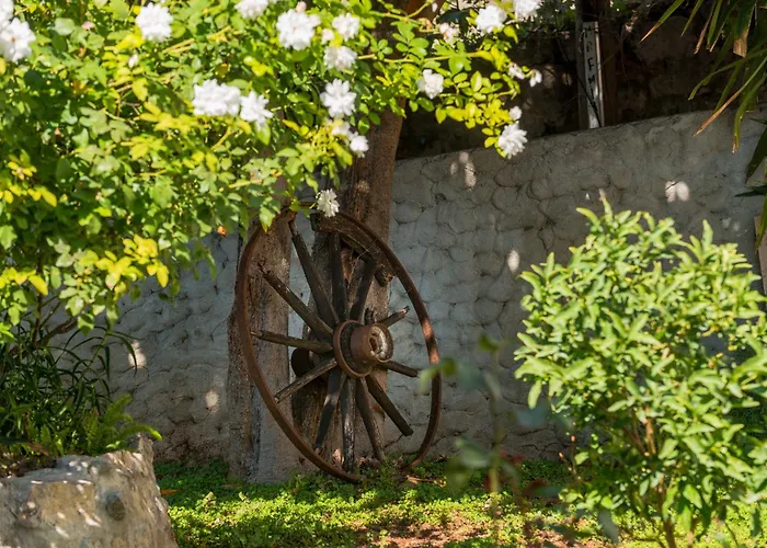 Apartamento Miljas 1 *