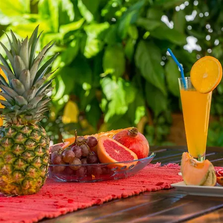 Appartement Miljas 1 Dubrovnik