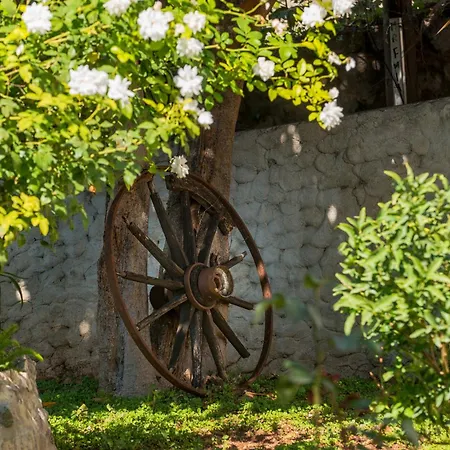 Διαμέρισμα Miljas 1 *